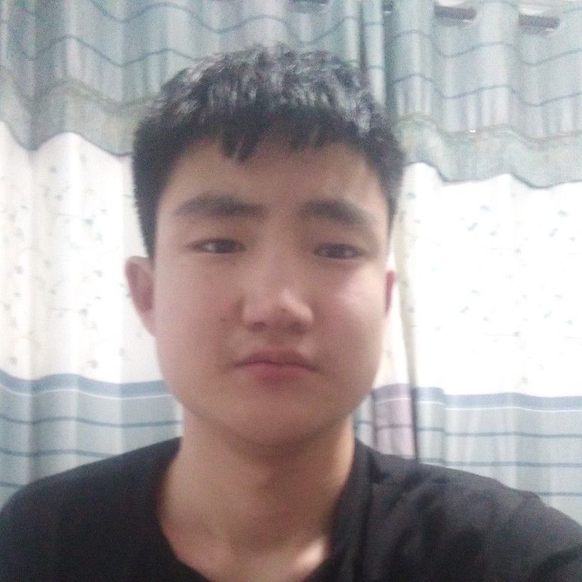 灵巧相许长颈鹿的照片