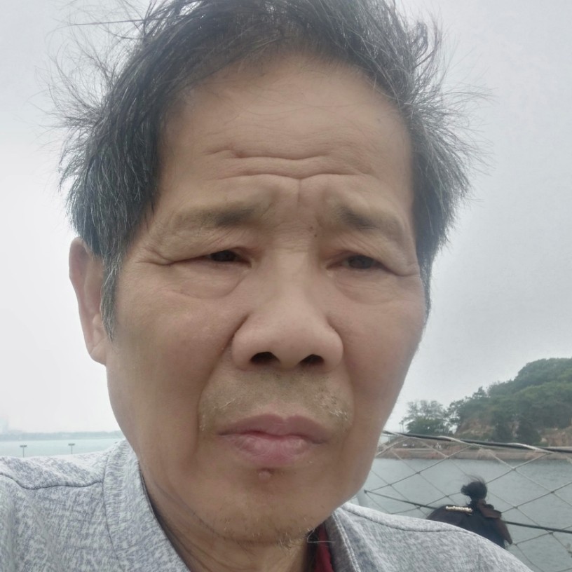 蘩藜迷路的照片