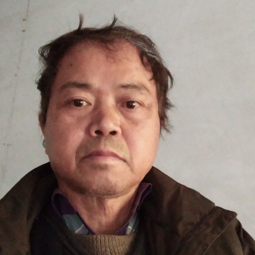 西牛向踏实的照片