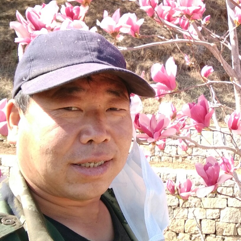 棒棒糖的漂亮的照片