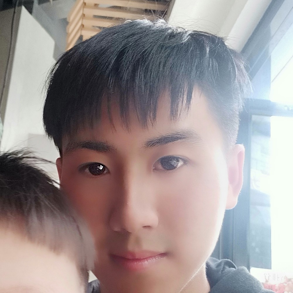 小蜜蜂开放的照片