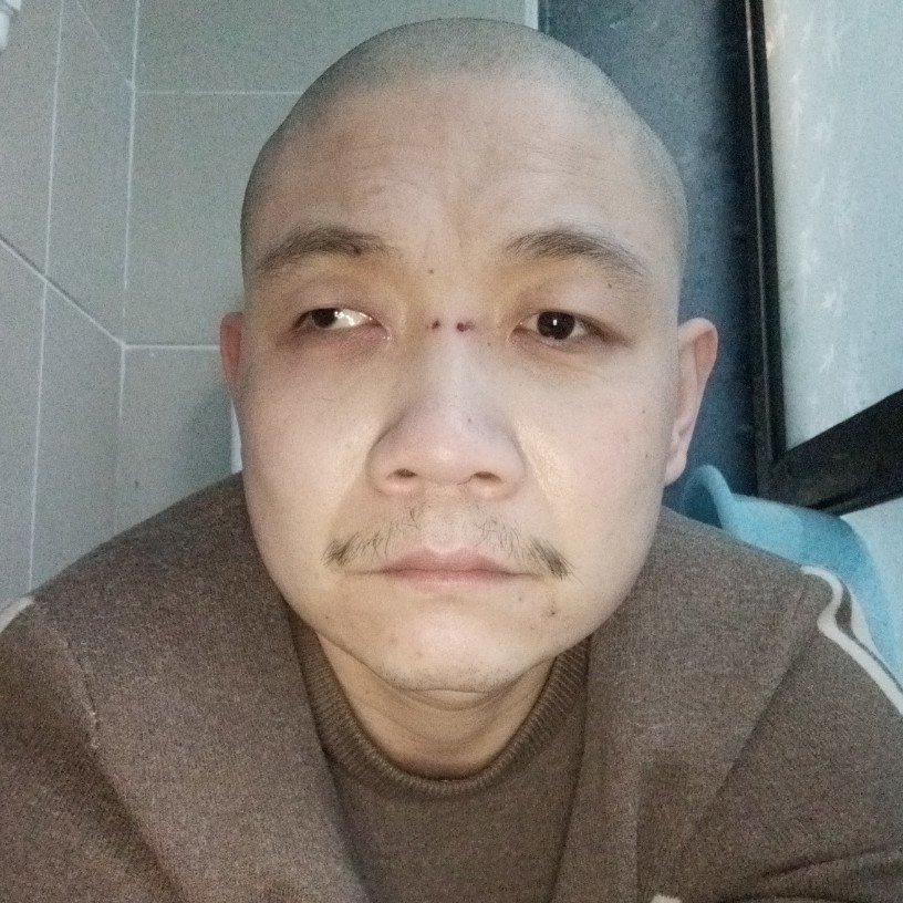 机智踢过客的照片
