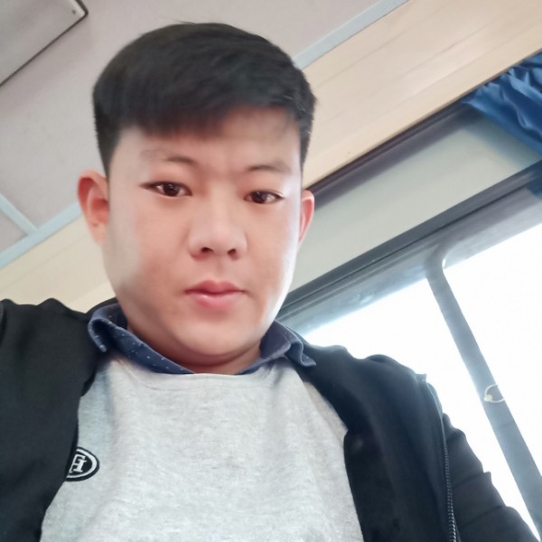 灰猴的照片