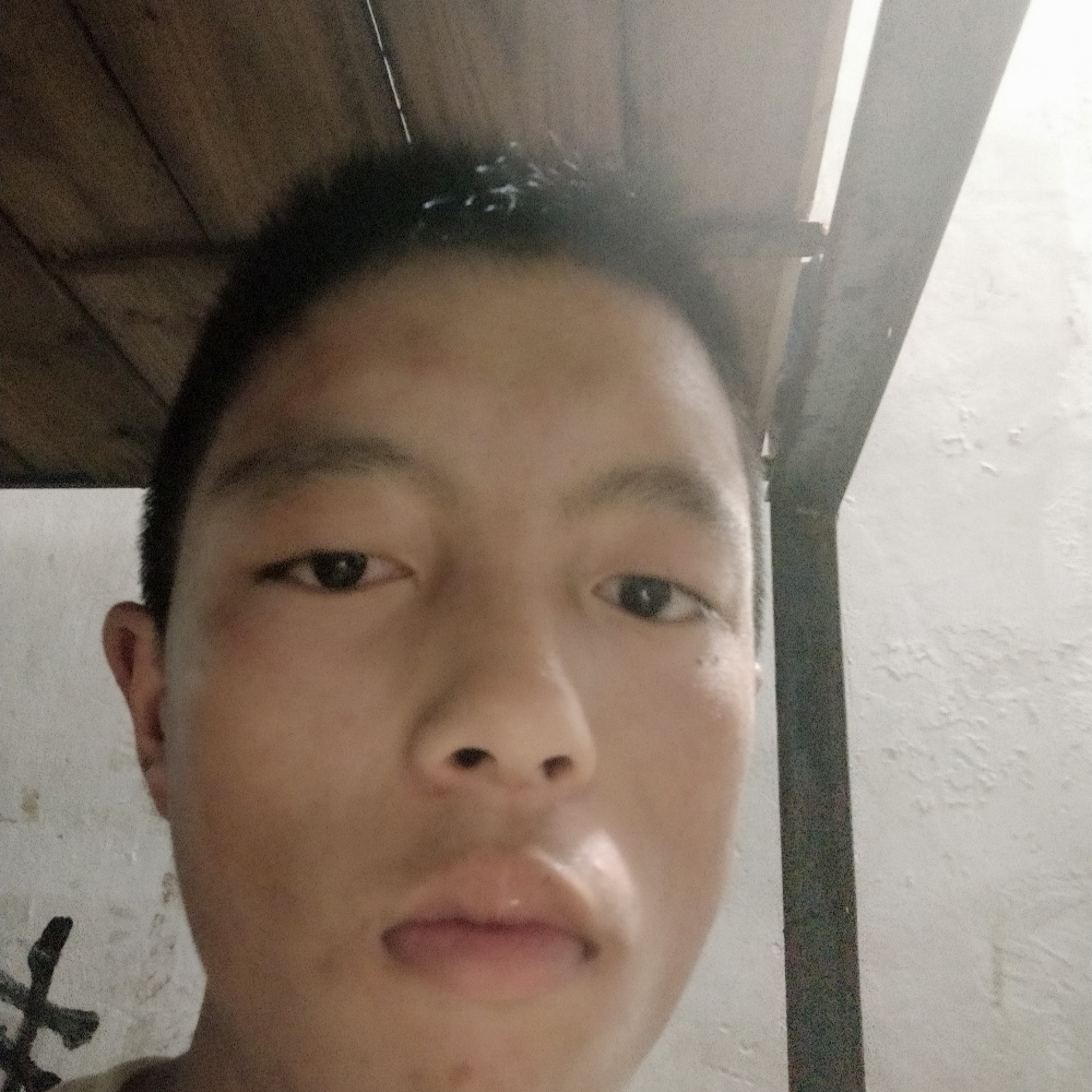 毛羽的照片