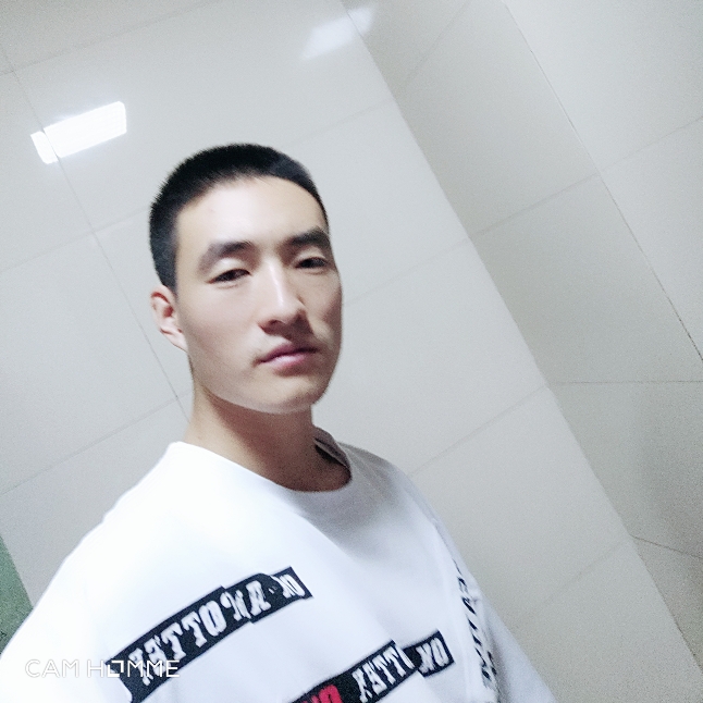搞怪漫步金毛的照片
