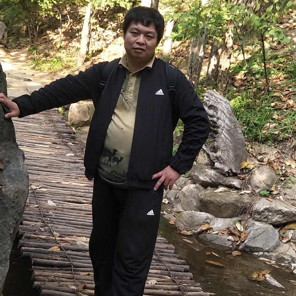 寻爱无果的照片