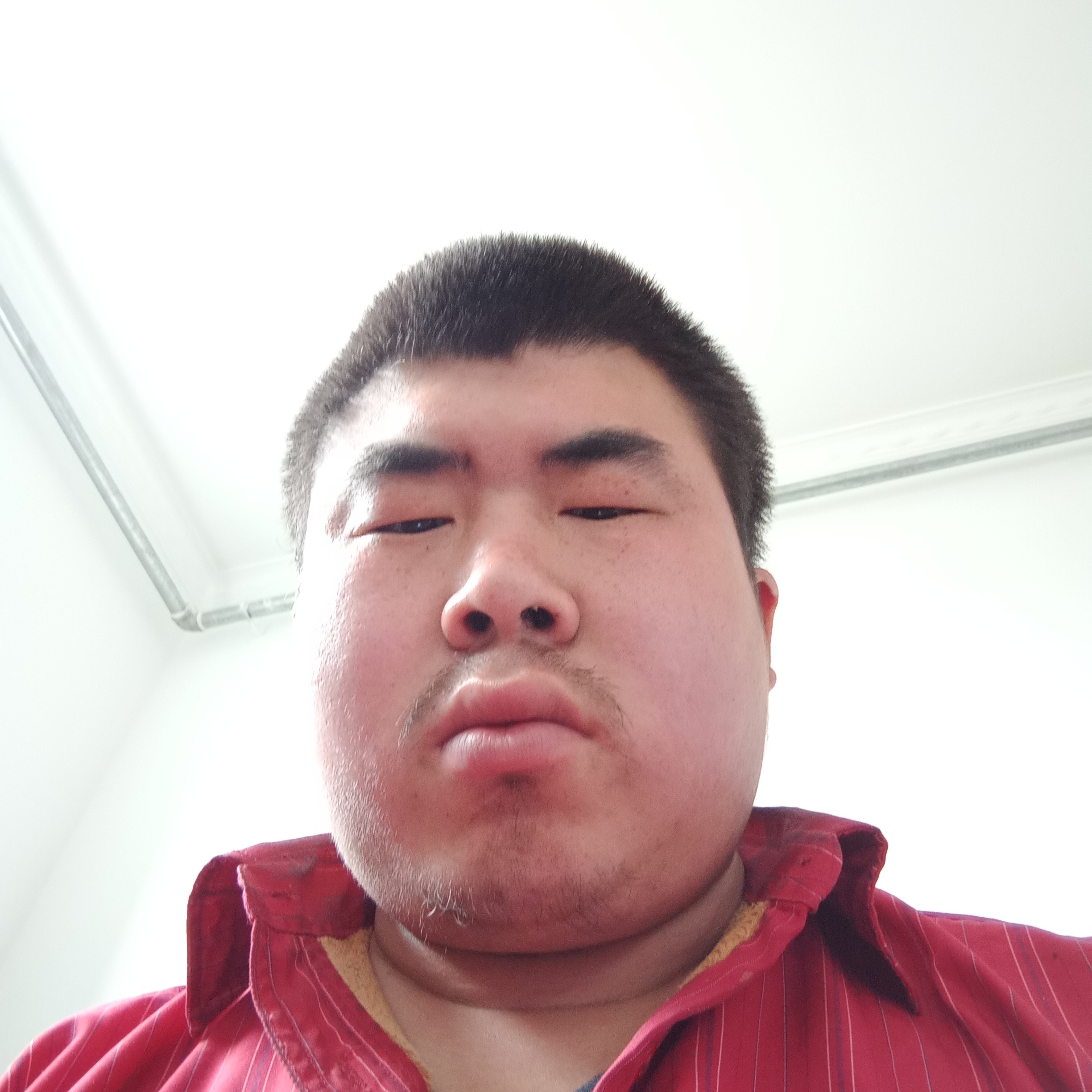 斑驳回首小蘑菇的照片