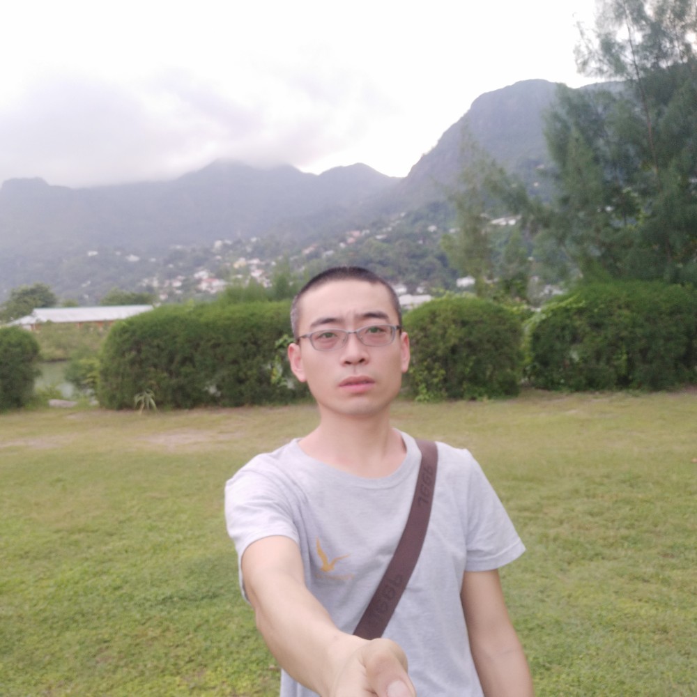 孤独一只狼的照片
