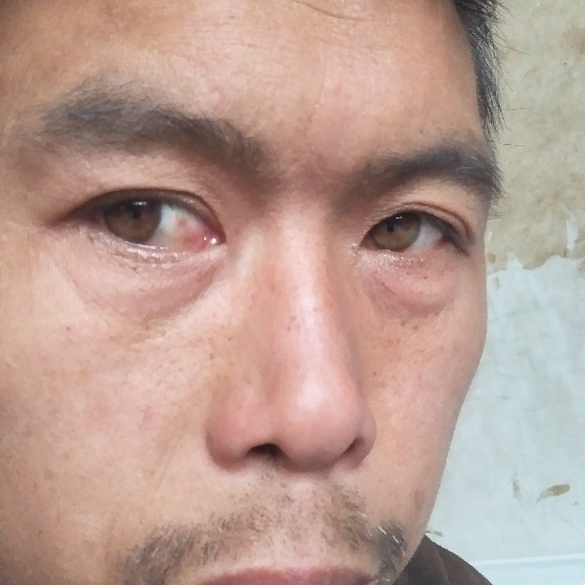 矜柔妖娆顾帅的照片