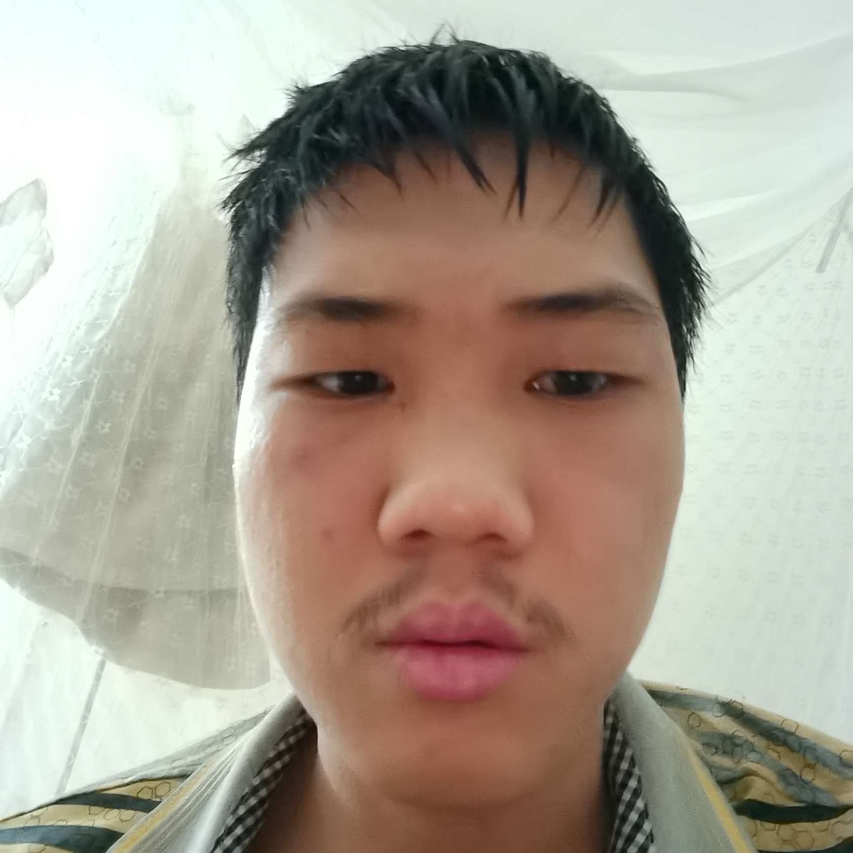 仲嵬的照片