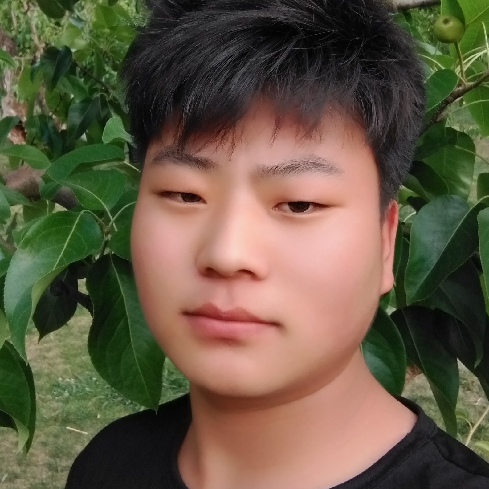 洗发的照片