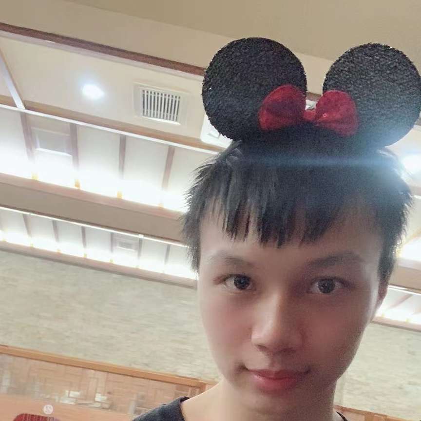 直率用小鸽子的照片