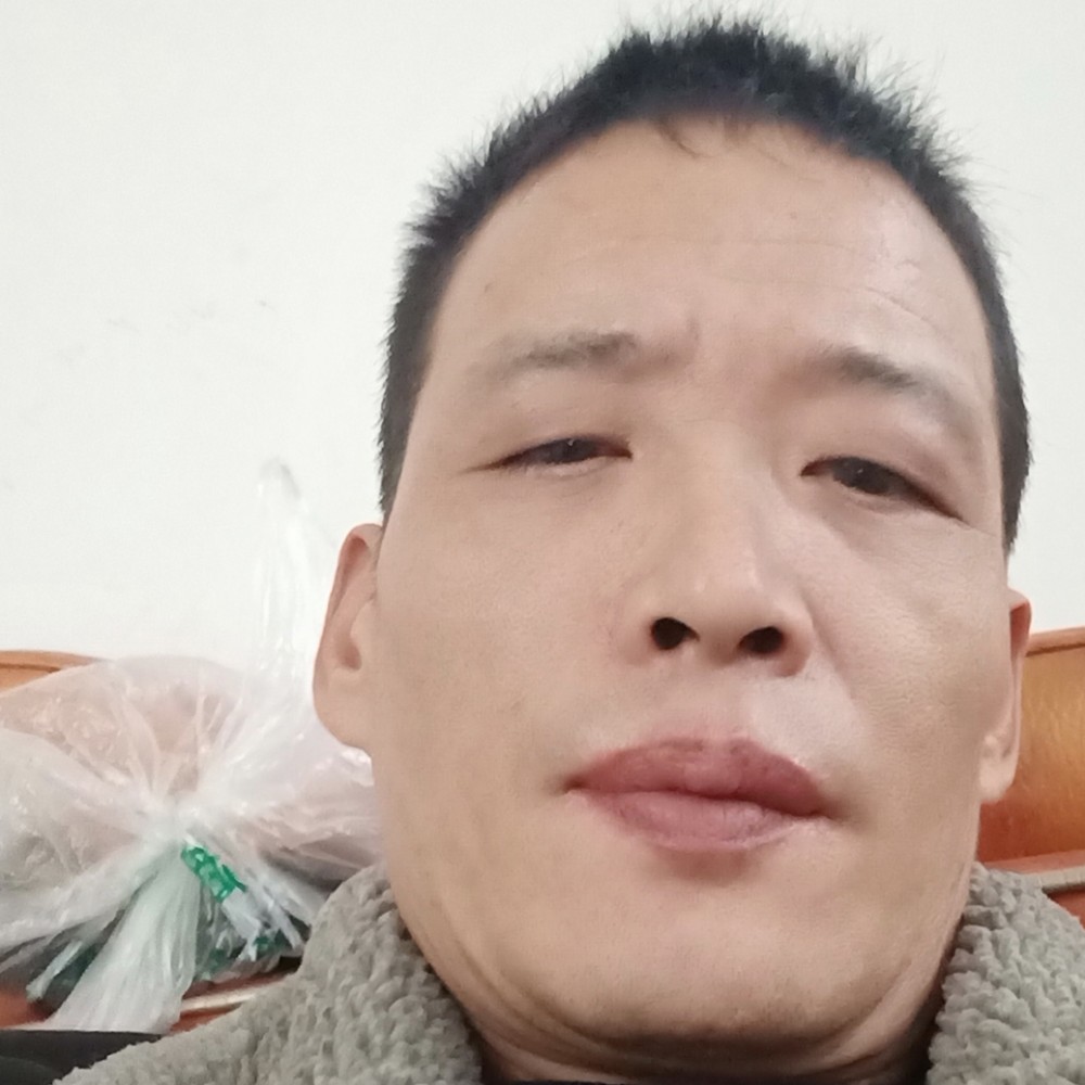 俊秀向日葵的照片