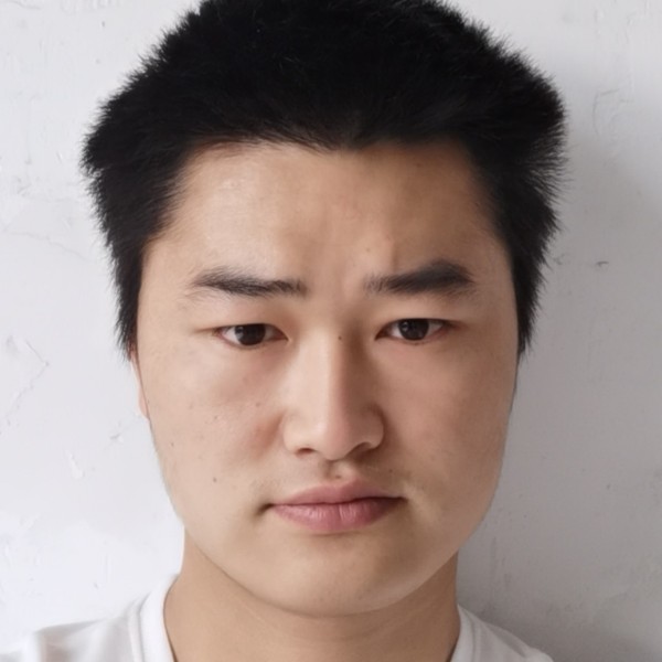 风中柳絮因风起的照片