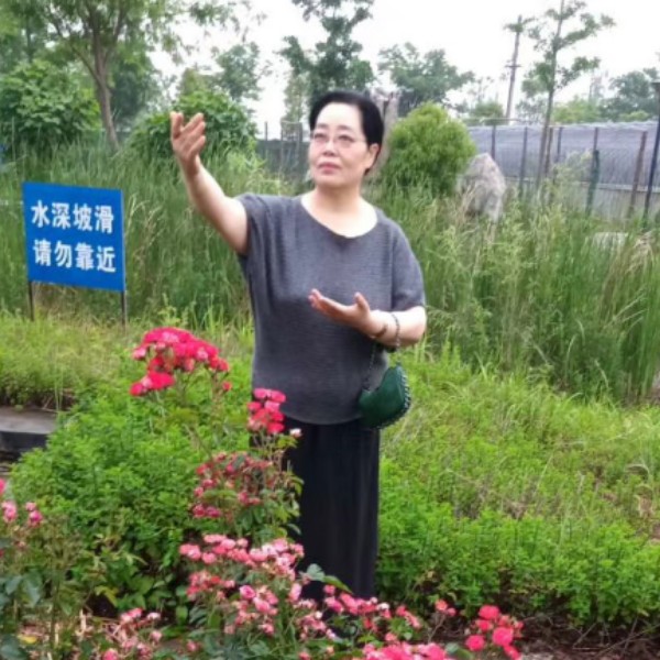 冷酷拾忆灰狼的照片