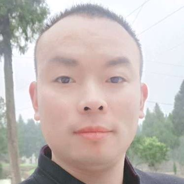 小天鹅停止畅快的照片