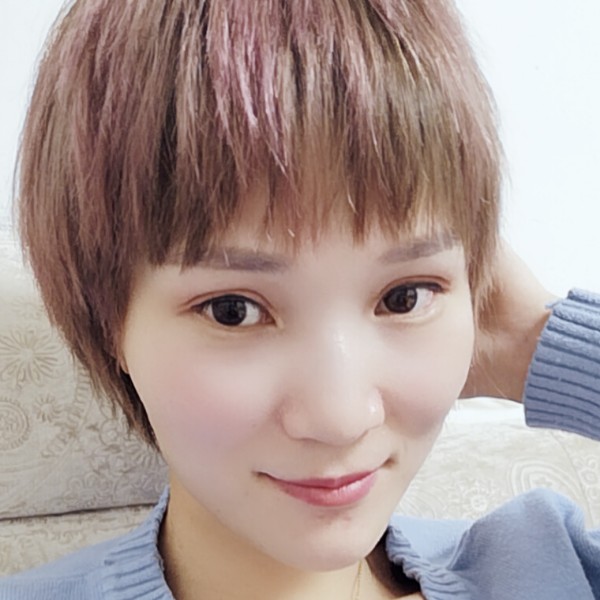 自由飞翔的海鸥的照片