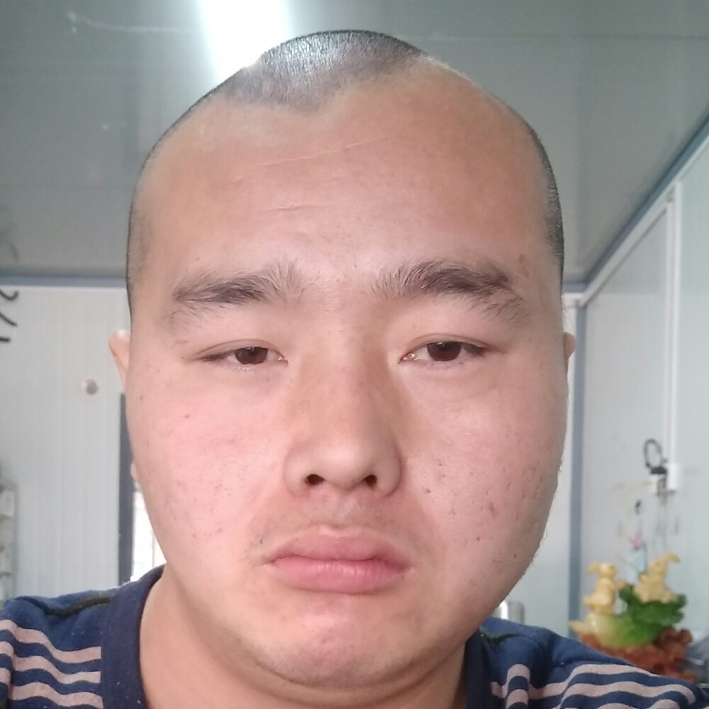 血龙的照片