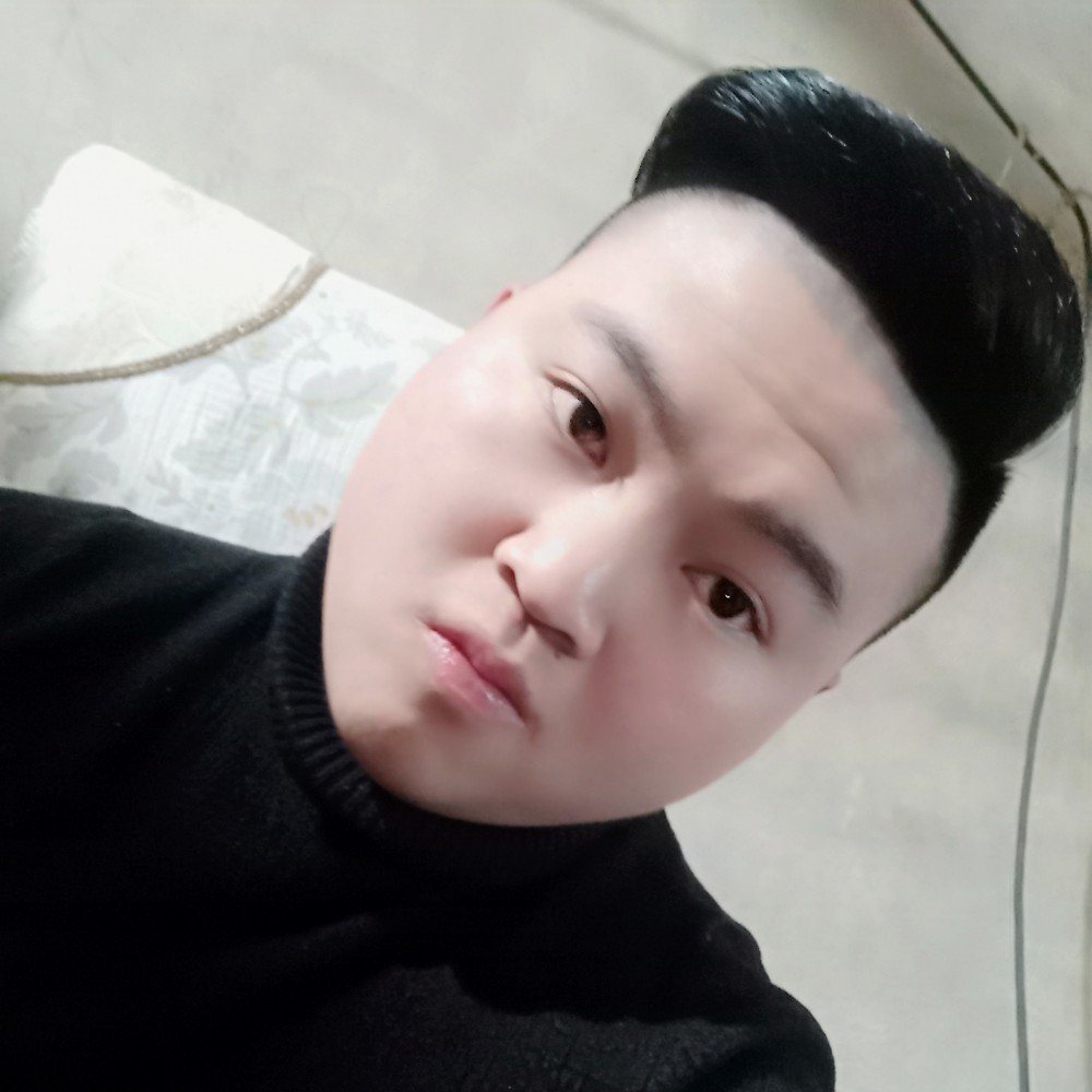野狗谈恋爱的照片