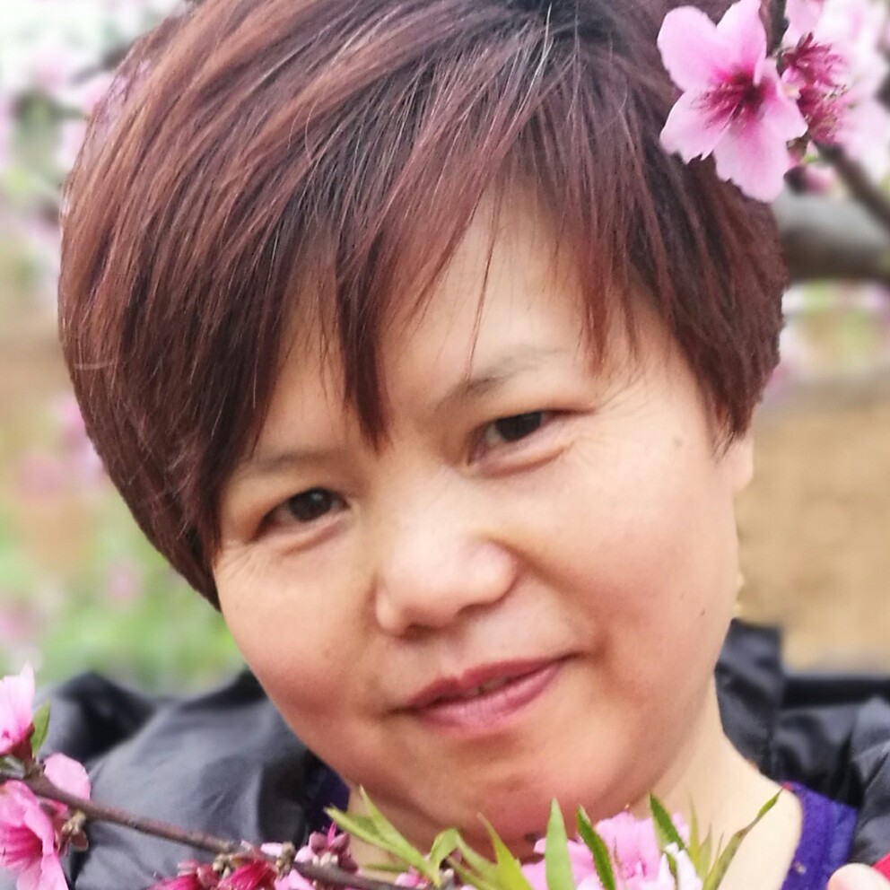 一帘美梦的照片
