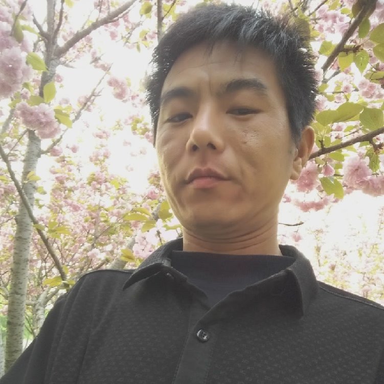 活力迎浅陌的照片