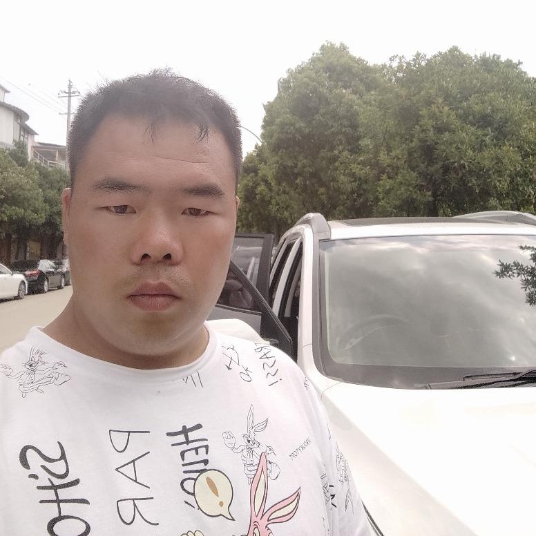 蚂蚁踢想人陪的照片