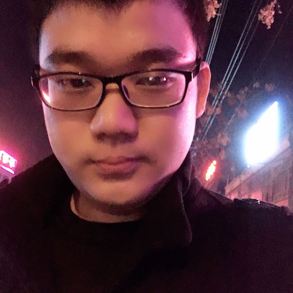 向日葵拾忆怕孤单的照片
