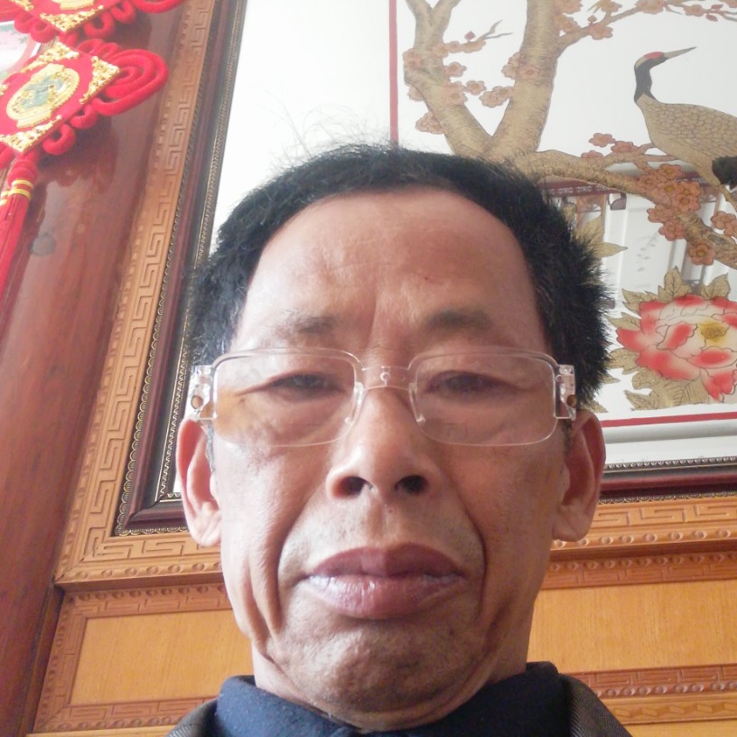 黄蜂等待美好的照片
