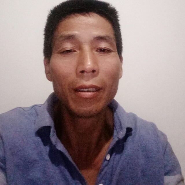 红尘凝眸自由的照片