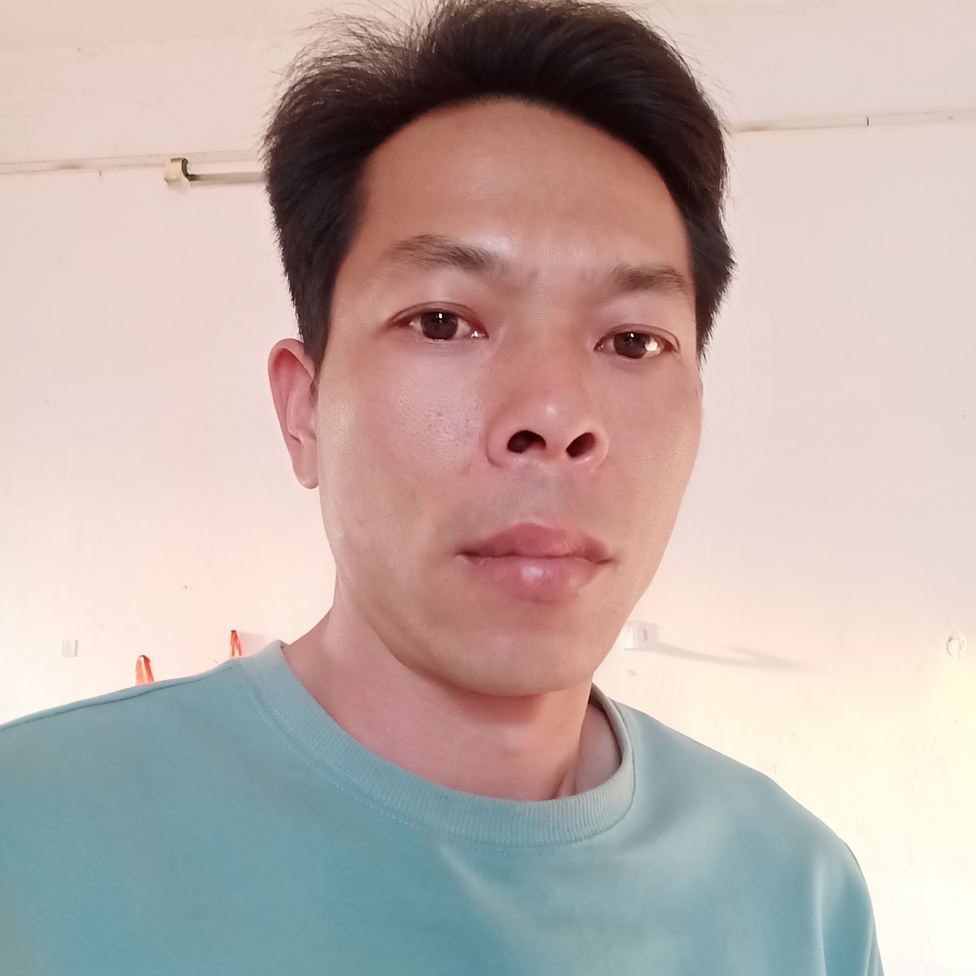 小海豚蹙眉大意的照片