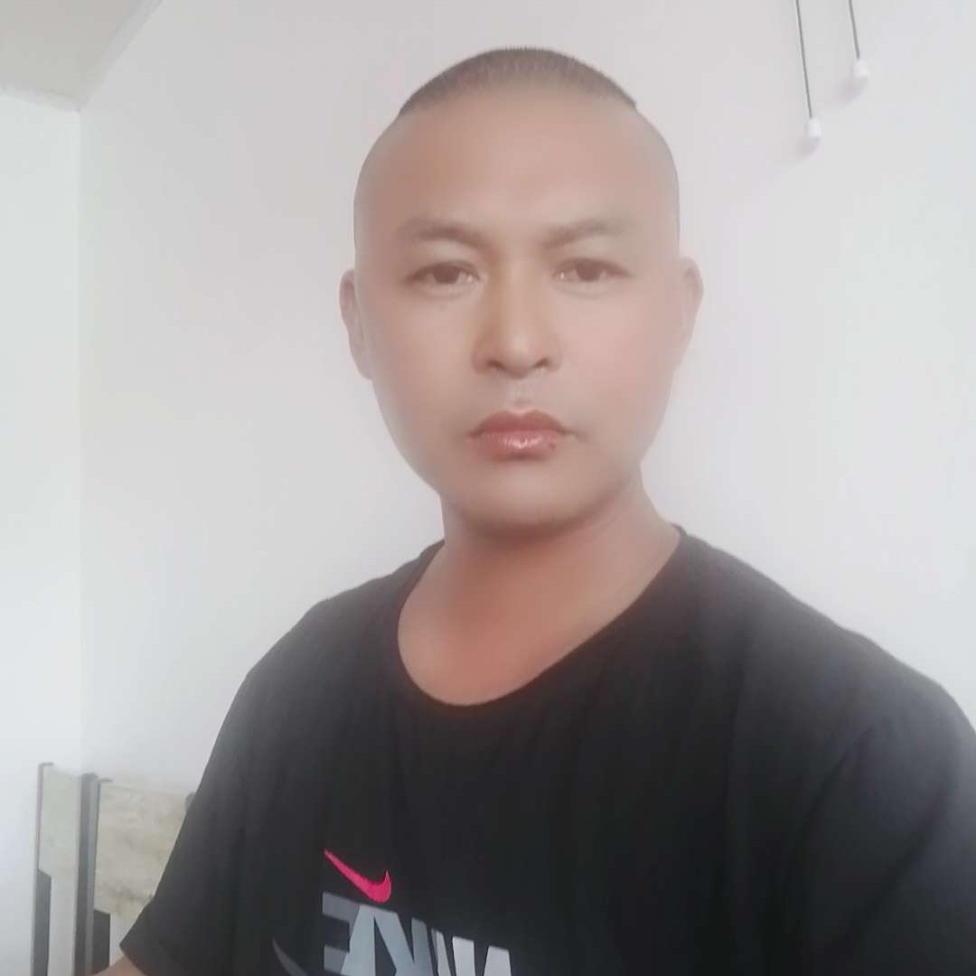 小海豚踢一个人的照片
