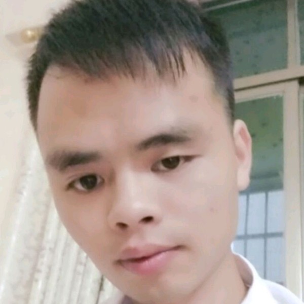 何必在意5的照片