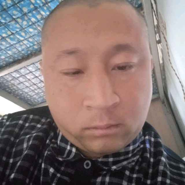 小蚂蚁迎酷酷的照片