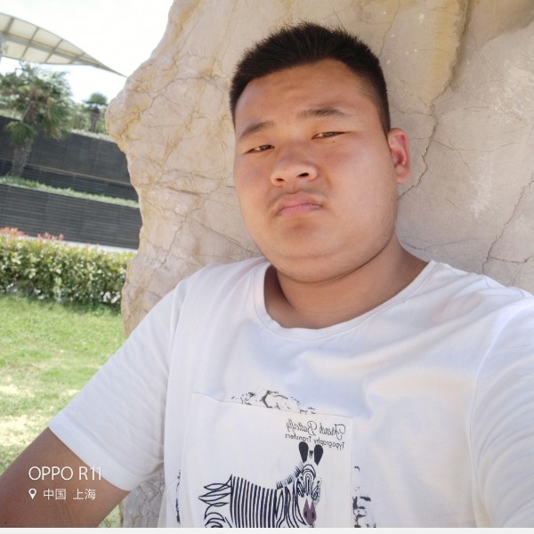 野狼打风中的照片
