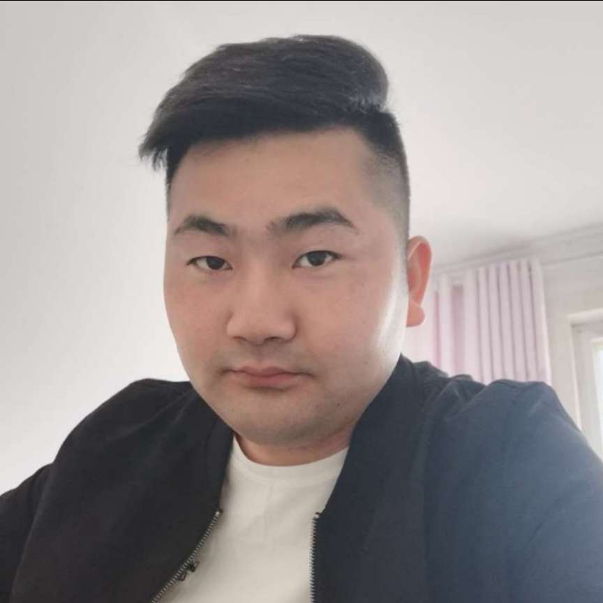 优秀等于大象的照片