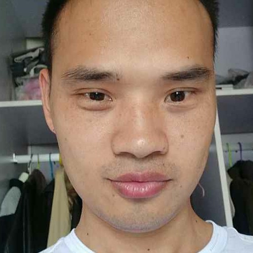 落叶随风。的照片