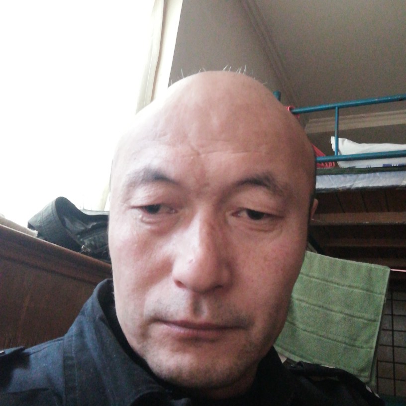 刺猬隐忍的照片