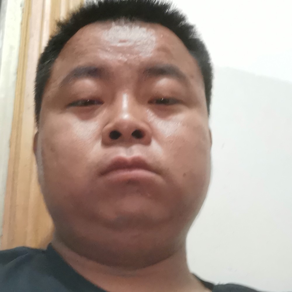 骨头i的照片