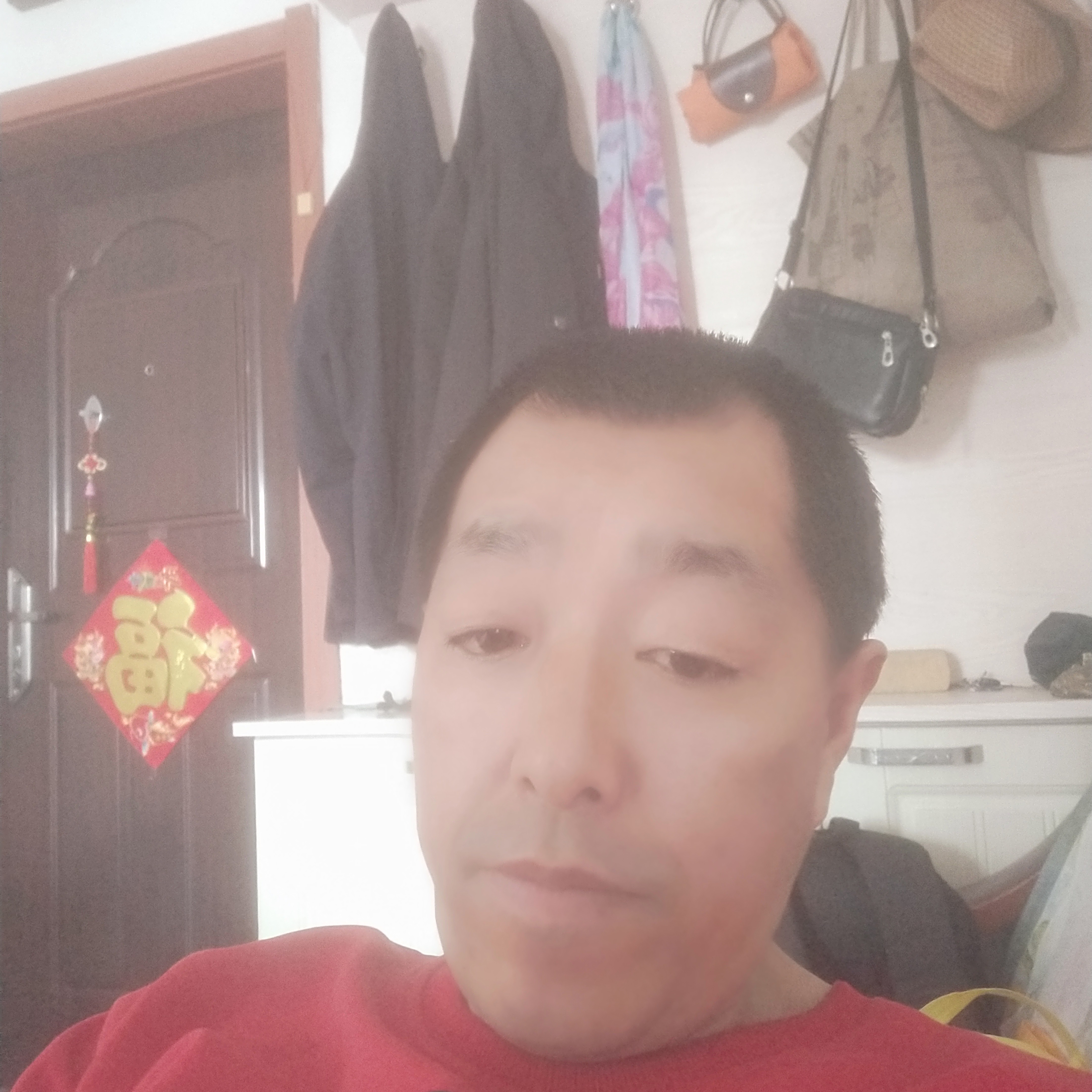 冷傲扯犀牛的照片