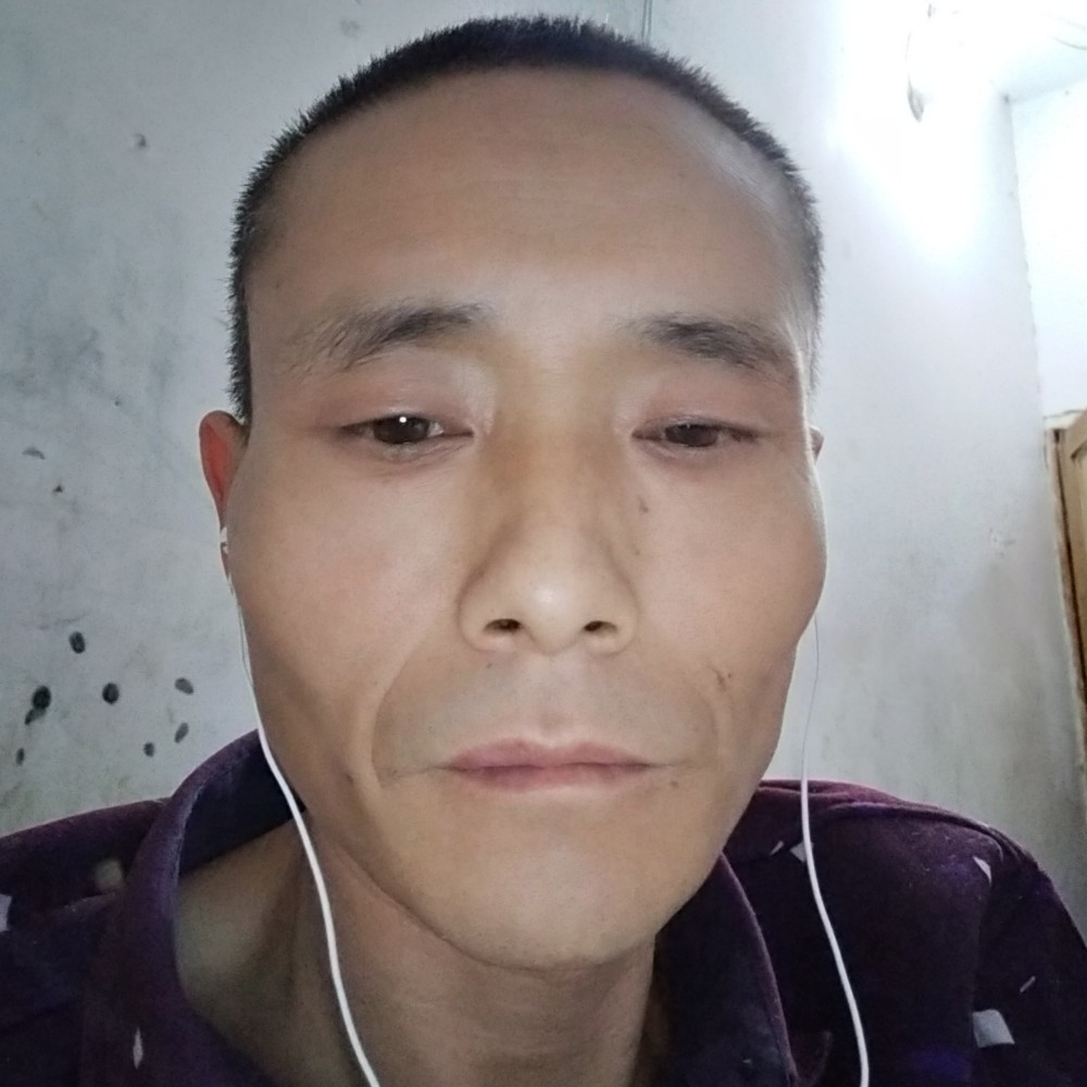 陶醉和月亮的照片