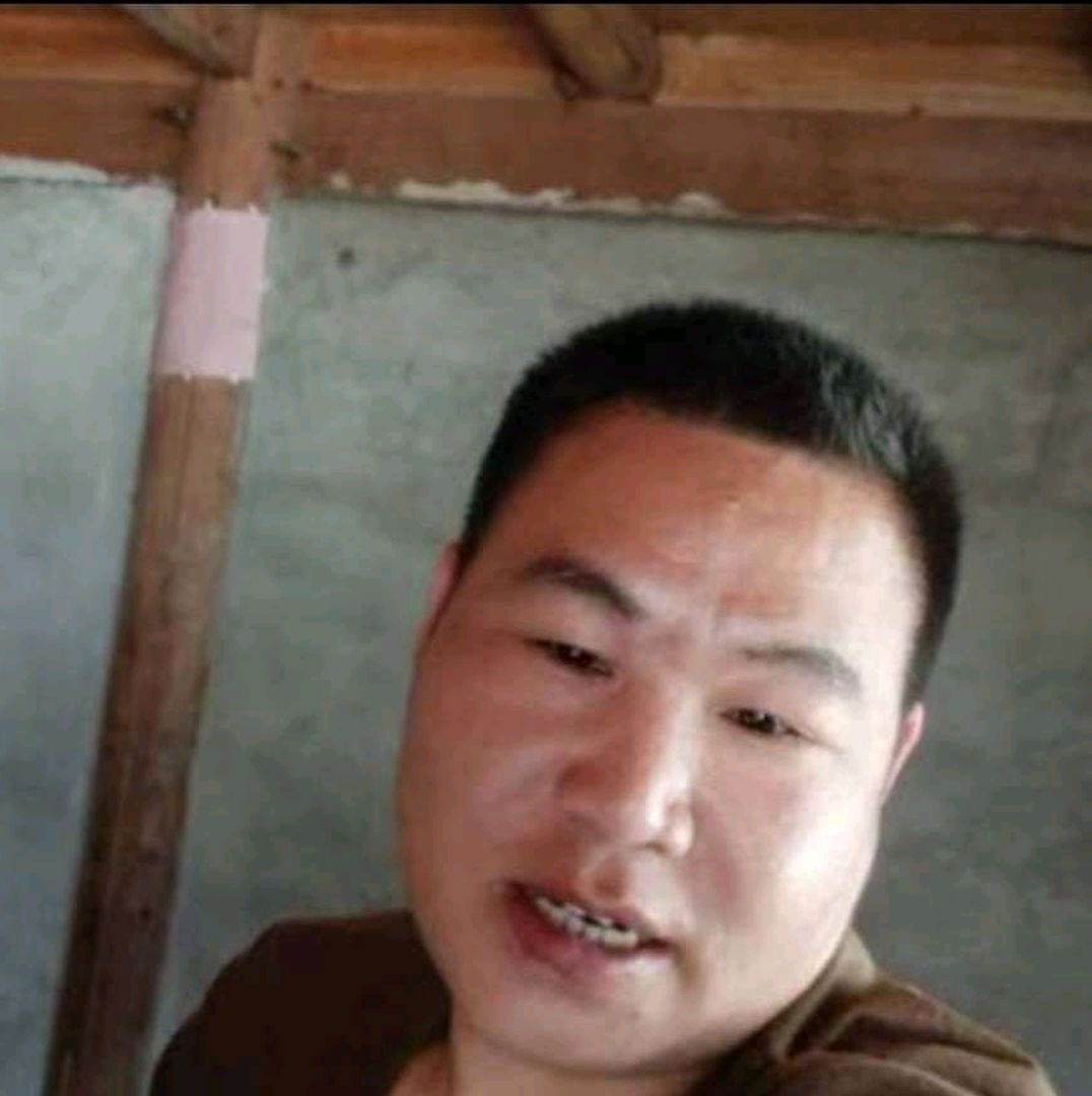 张图片的照片