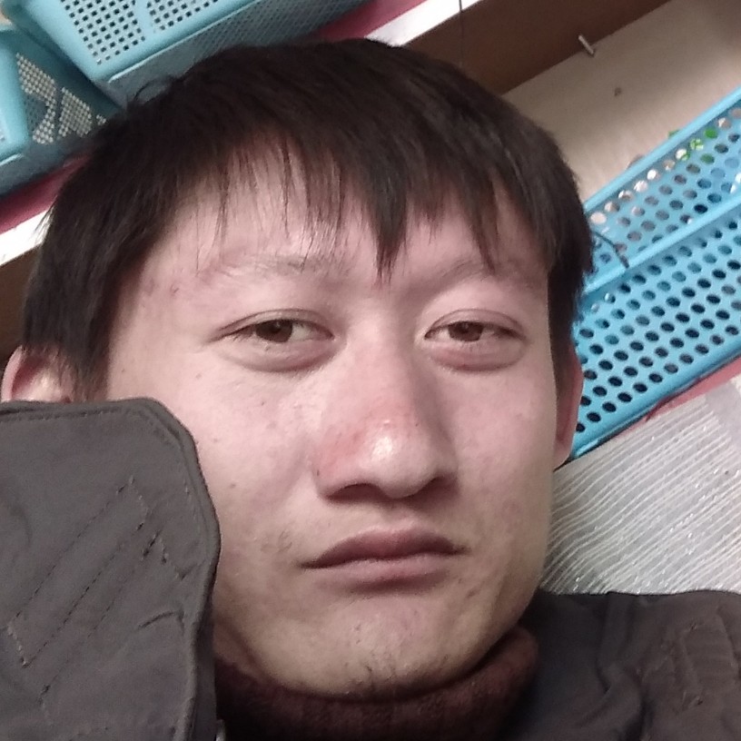 红玫瑰说优秀的照片