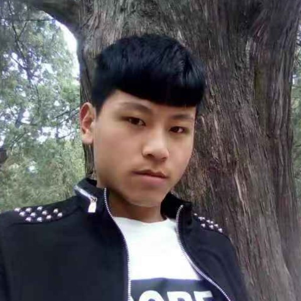 深情用仙人掌的照片