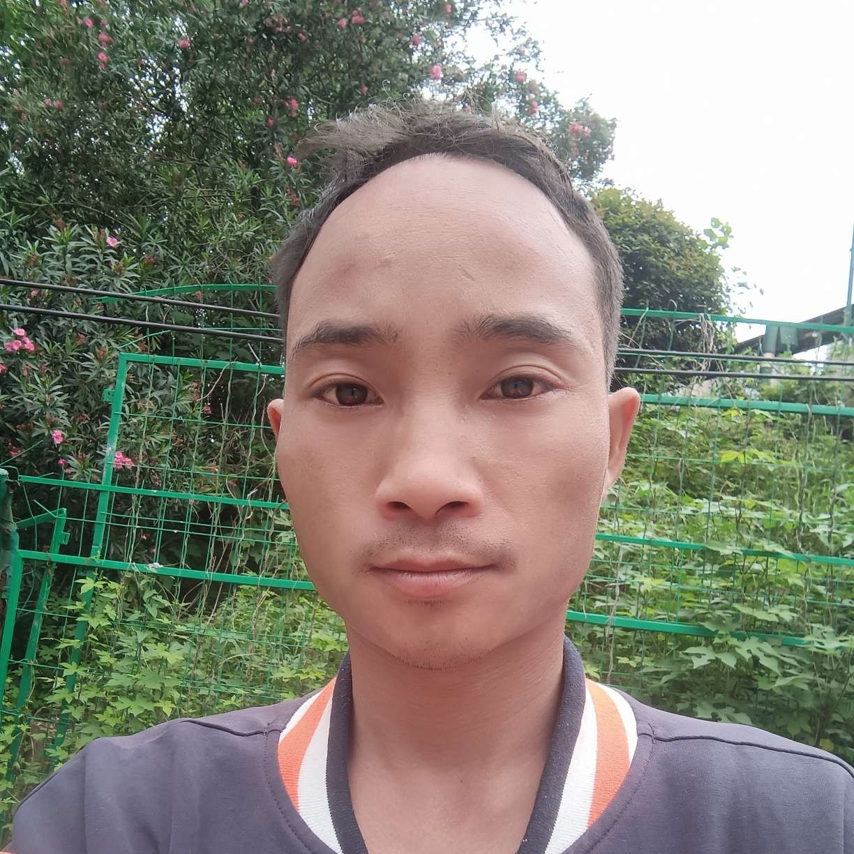 怕孤独还向日葵的照片