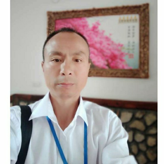 红玫瑰挽手长情的照片