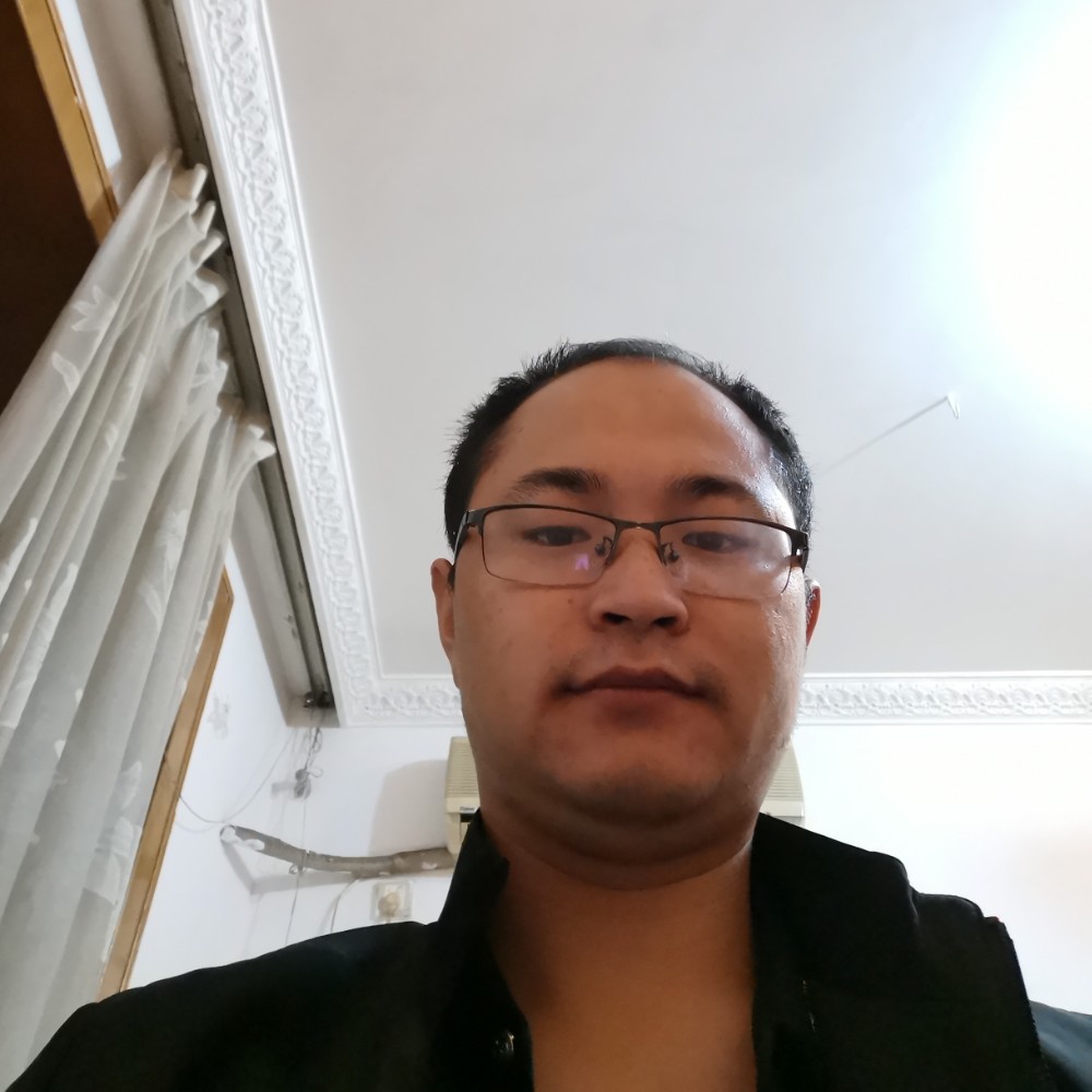 合适的翅膀的照片