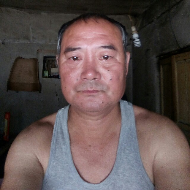 飞来的歌声的照片