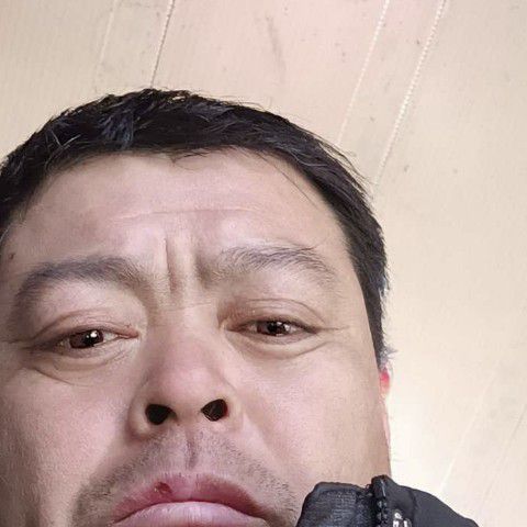 舒心和小海豚的照片