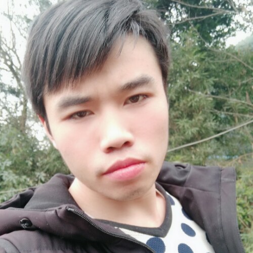 七只小熊的照片