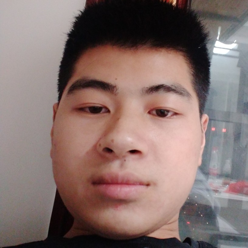 小天鹅倾心热心的照片